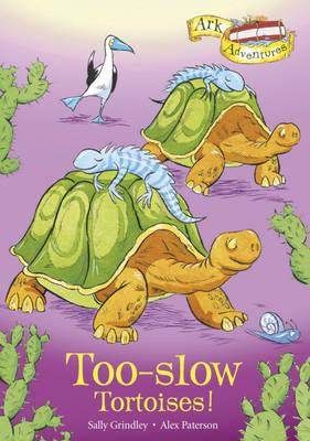 Too-Slow Tortoises!