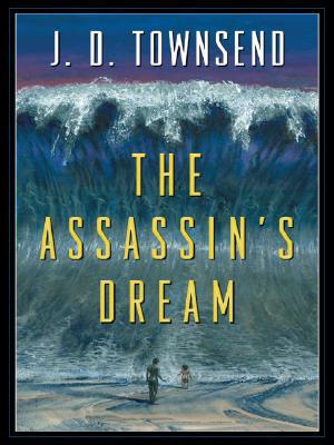 The Assassin's Dream