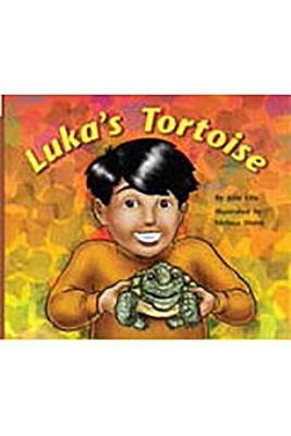 Luka's Tortoise
