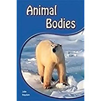 Animal Bodies