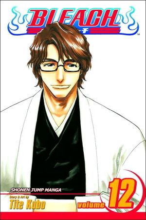 Bleach, Volume 12: Flower on the Precipice