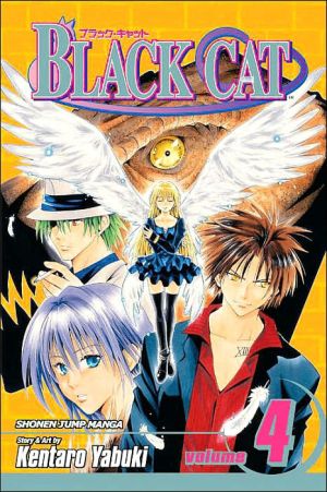 Black Cat, Volume 4