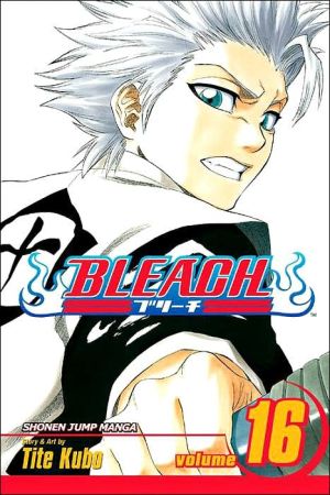 Bleach, Volume 16: Night of Wijnruit