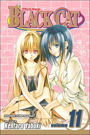 Black Cat, Volume 11