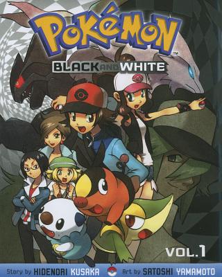 Pokemon Black and White 1