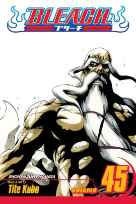 Bleach, Volume 45: The Burnout Inferno