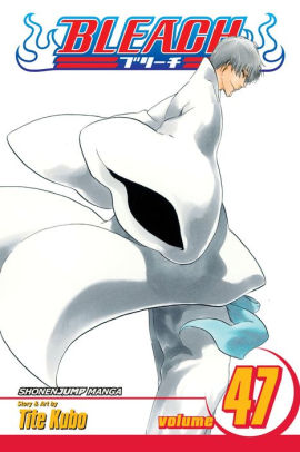 Bleach, Volume 47: End of the Chrysalis Age