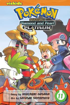 Diamond and Pearl/Platinum, Vol. 11