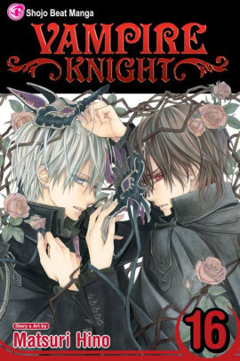 Vampire Knight, Vol. 16