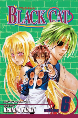 Black Cat, Vol. 6