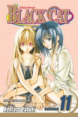 Black Cat, Vol. 11