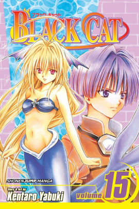 Black Cat, Vol. 15
