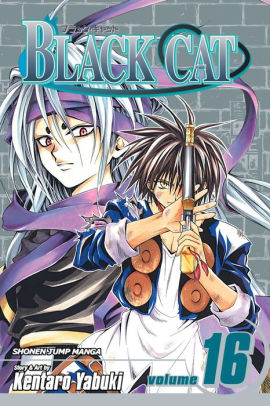 Black Cat, Vol. 16