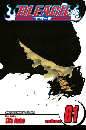 Bleach, Volume 61: The Last 9 Days
