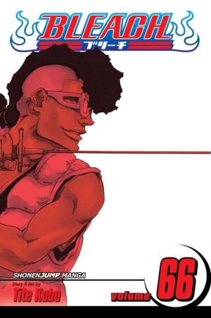 Bleach, Volume 66: Sorry I Am Strong