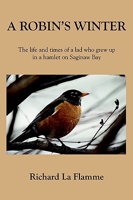 A Robin's Winter: The Life and Times of a Lad Who Grew Up in a Hamlet on Saginaw Bay