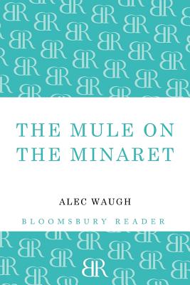 The Mule on the Minaret