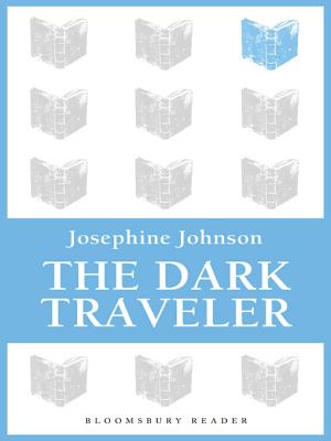 The Dark Traveler