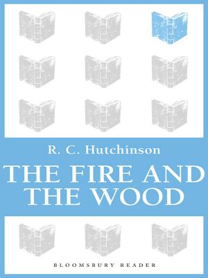 Fire and the Wood