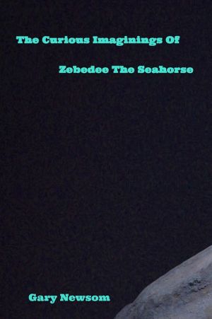 The Curious Imaginings Of Zebedee The Seahorse