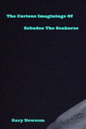 The Curious Imaginings Of Zebedee The Seahorse