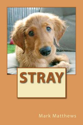 Stray