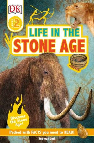 Life in the Stone Age