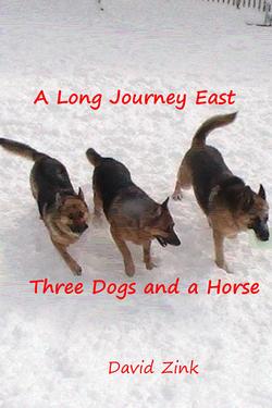 A Long Journey East: Three Dogs and a Horse