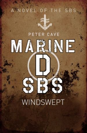 Marine D: Windswept