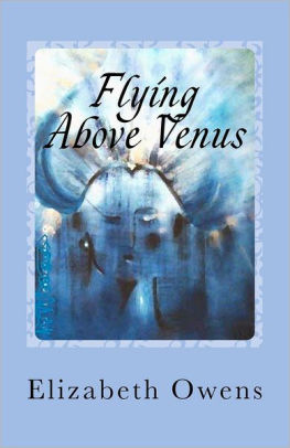 Flying Above Venus