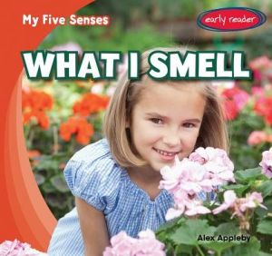 What I Smell