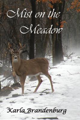 Mist on the Meadow