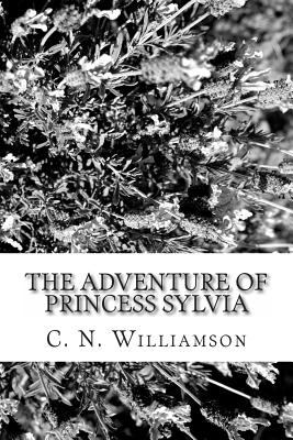 The Adventure of Princess Sylvia
