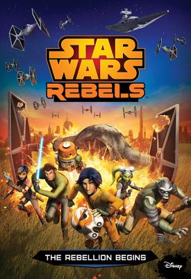 The Rebellion Begins: Junior Novelization