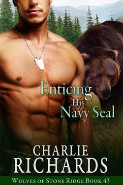 Enticing his Navy SEAL