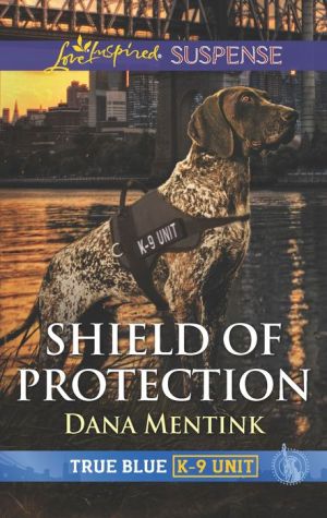 Shield of Protection