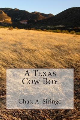 A Texas Cow Boy