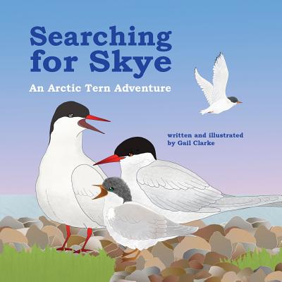 Searching for Skye