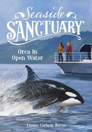 Orca in Open Water