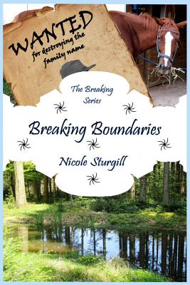 Breaking Boundaries
