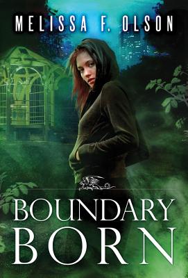 Boundary Born