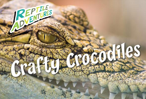 Crafty Crocodiles