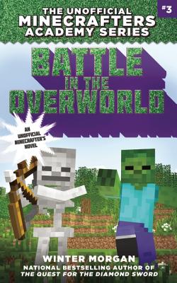 Battle in the Overworld
