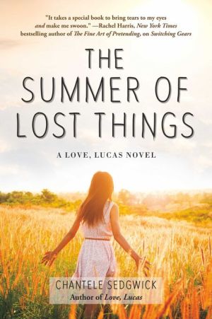 The Summer of Lost Things