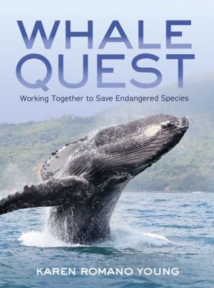 Whale Quest