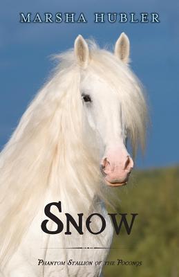 Snow: Phantom Stallion of the Poconos