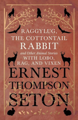 Raggylug, The Cottontail Rabbit and Other Animal Stories with Lobo, Rag, and Vixen