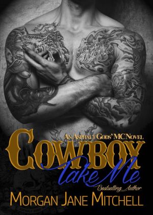 Cowboy, Take Me