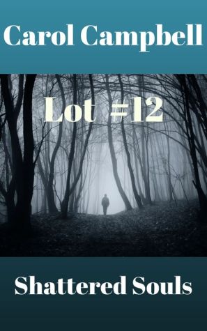 Lot #12