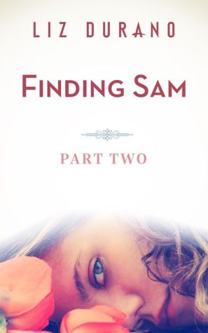 Finding Sam - Part Two